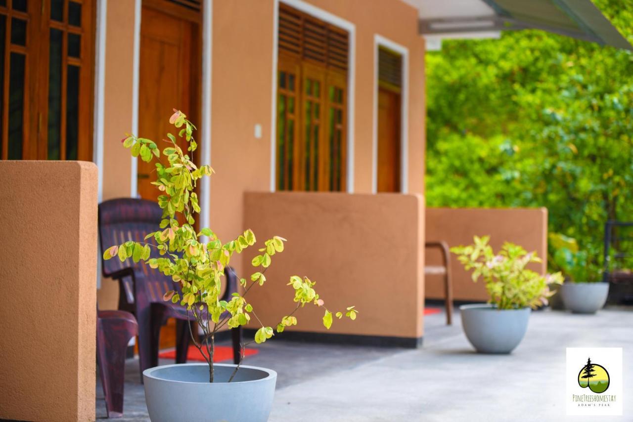 Pine Trees Homestay Nallathanniya Exterior foto